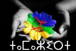 Musique Tamazighit